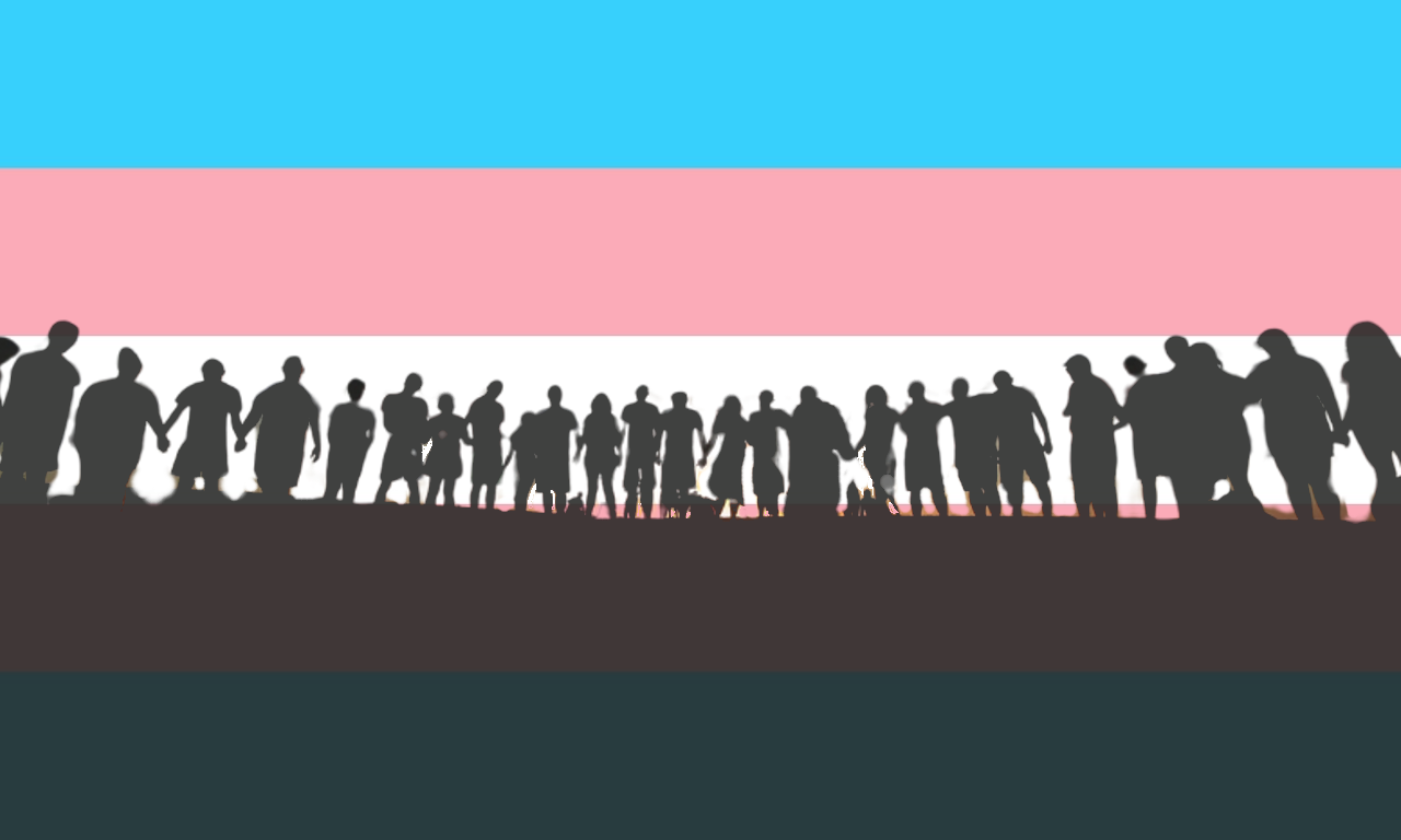 Transgender Day of Visibility 2024 A Statement from Our TGX360 Council