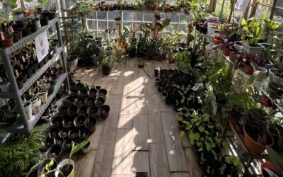 Friday Feature: Garden Hoes is Growing More Than Just Plants in Atlanta